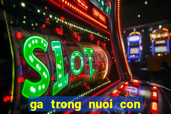 ga trong nuoi con luu chi vy