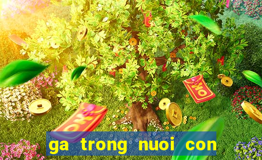 ga trong nuoi con luu chi vy