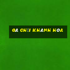 gà chọi khánh hòa