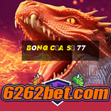 bóng của số 77