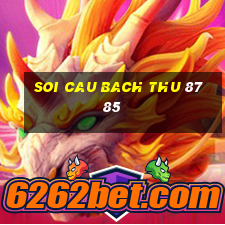 soi cau bach thu 8785