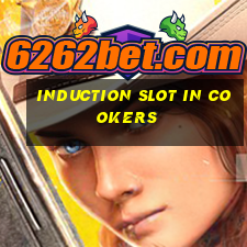 induction slot in cookers