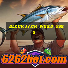 blackjack weed uses