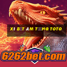 xí bệt âm tường toto