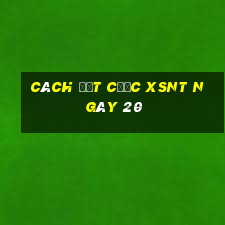 Cách đặt cược XSNT ngày 20