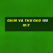 Chim và thú cho 188 mặt