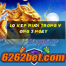 lô kép nuôi trong vòng 3 ngày