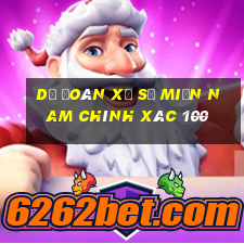 dự đoán xổ số miền nam chính xác 100