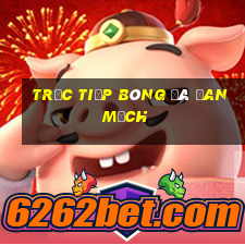 trực tiếp bóng đá đan mạch