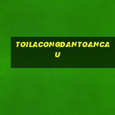 toilacongdantoancau