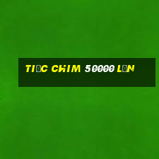 Tiệc chim 50000 lần