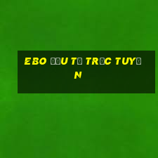 EBo đầu tư trực tuyến