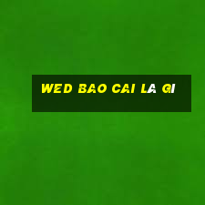 wed Bao Cai là gì