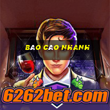 báo cáo nhanh